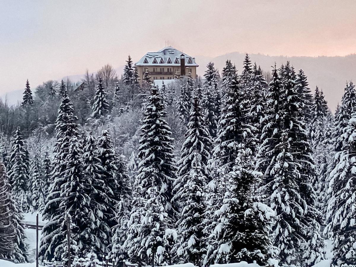 Kamyanka Hotel Mizhhirya  Kültér fotó